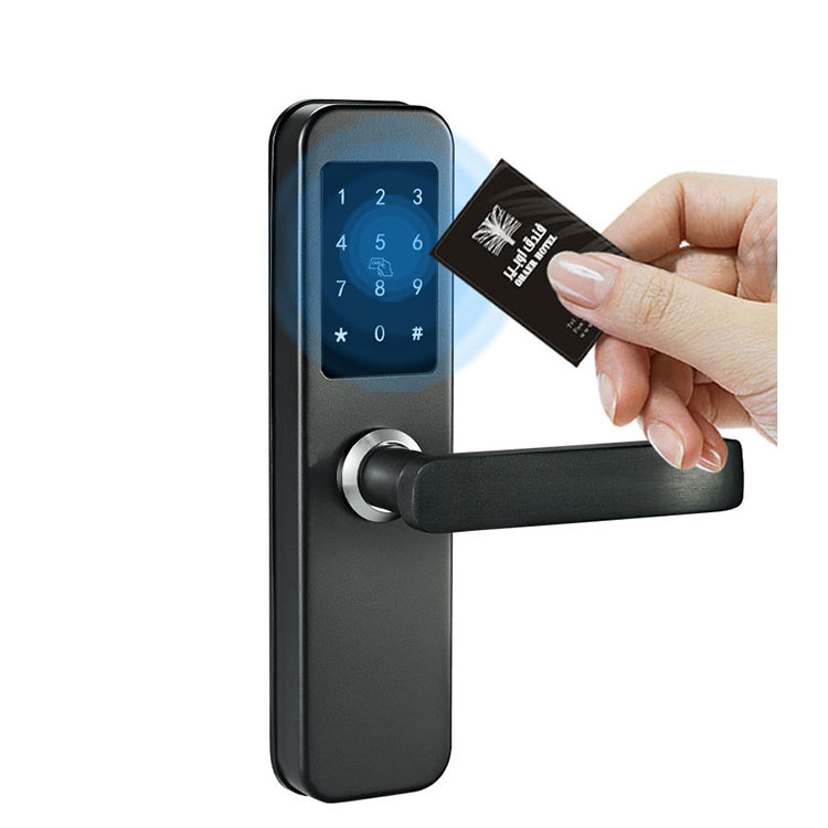 Smart Hotel Lock—FM 2058